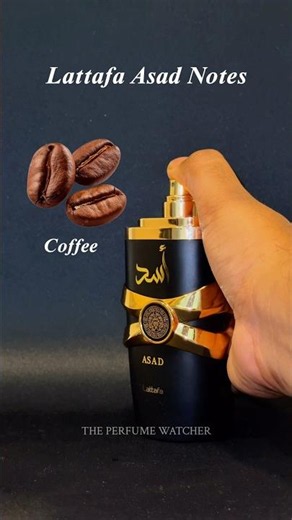 Lattafa Asad Smells Like THIS! | The Perfume Watcher #lattafa #lattafaperfumes