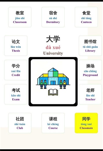 Planning to study in China? 🇨🇳 Learn these 12 Campus Words! 🎓#chinesevocabulary #learnmandarin大学