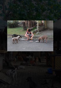 514K views · 13K reactions | Bad news. We are getting evicted by...