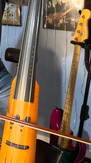 NS Design Electric Double Bass #nsdesign #bass #review #demo #music #shorts