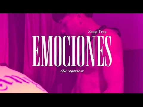 Emociones x Zooptrpp [prod. chk] 🥡