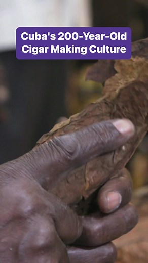60K views · 817 reactions | Cuba's cigar-making culture has persisted for two centuries and requires a labor-intensive, year-long process. #BusinessInsider #CubanCigars #Cigars #Cuba #CubanCulture | Business Insider | Facebook
