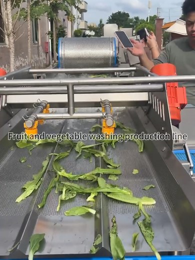 Efficient Vegetable Washing for Food Processing