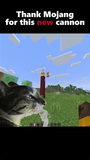The new update is the best