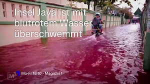 2.8K views · 24 reactions | Apokalyptisch aussehende Bilder von einem Hochwasser sorgen derzeit in Indonesien für Aufsehen: Ein Dorf auf der Insel Java ist von blutrotem Wasser überschwemmt. Was auf sozialen Netzwerken für zahlreiche Klicks sorgt, ist für die Einwohner dort eher lästig. ORF 1 - Mo-Fr 18:10, #Magazin1 | ORF 1 | Facebook