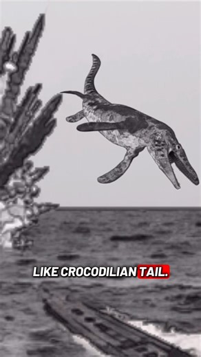 Top 5 aquatic cryptids