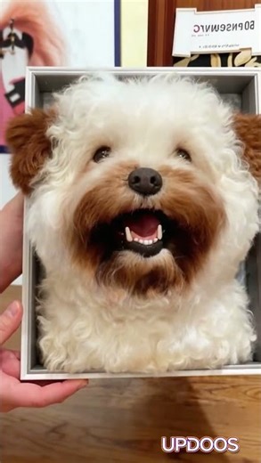 Turned My Dog Into a 3D Portrait 🎨 The Result Is SHOCKING!