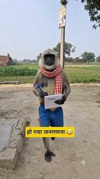 हो गया जनगणना #funny #thetharpuns #aalupyajjoke #comedy #jangadana