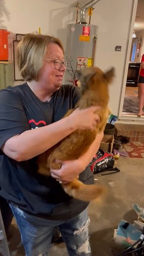 5 weeks missing and a 9 square mile adventure! Luna is a beloved member of a family. Her family desperately searched for her and would receive reports of Luna sightings! ITV was asked to help and ITV volunteer Dave helped in her trap and return to her family!! This is the happy reunifcation! Thank you, Dave! ITVrescue.org #petsarefamily #reunited #doglove | It Takes a Village No-Kill Rescue