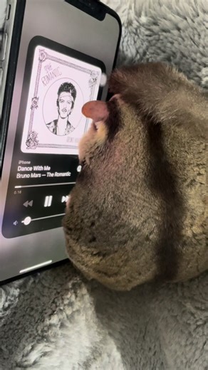 Bruno Mars - Dance With Me: Thai and Spanish Translations