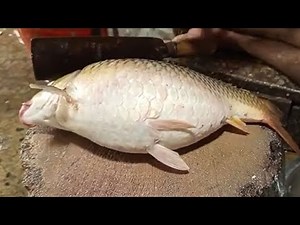 How to Cut Carp Fish: A Step-by-Step Guide