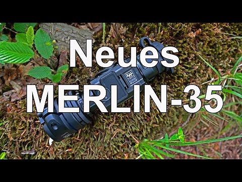 Neues Merlin 35 (2020)
