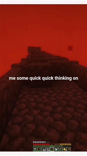 crazy happenings in the #nether #shortvideo #shorts