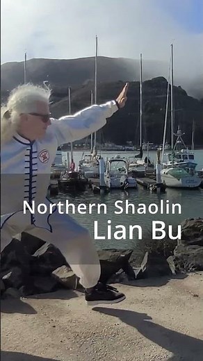 Northern Shaolin Kung Fu: Lian Bu