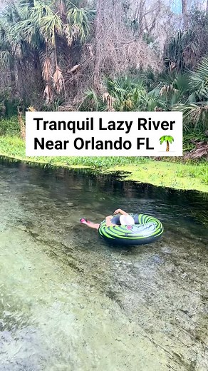440K views · 8.4K reactions | Would you swim in this natural lazy river in Florida, yes or no? This is Kelly Park Rock Springs located near Orlando! It is one of my favorite springs in Florida and worth a visit. #lazyriver #lazyriverlife #floridasprings #floridaspring #hiddengems #HiddenGemOfTheSouth #travelflorida #floridavacation #floridatravel #familyvacation | Florida Trippers | Facebook