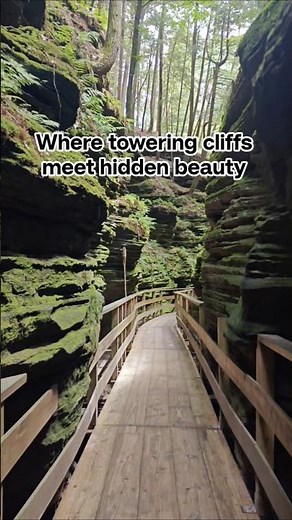 Must Visit place in Wisconsin | Upper dells Boat tour | A walk through the enchanting Witches gulch