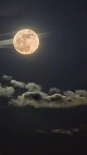 Captivating Moon Scenes in Natural Landscapes