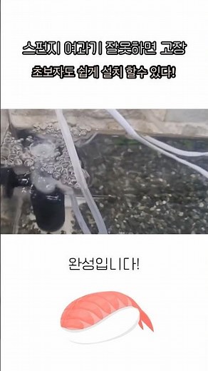스펀지 여과기 잘못하면 고장나요! 초보자도 쉽게 여과기 설치하기 #스펀지여과기 #여과기 #여과기설치 #생이새우