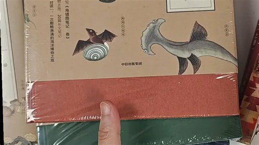 探索古代海洋奥秘，科普之旅轻松读懂海底世界