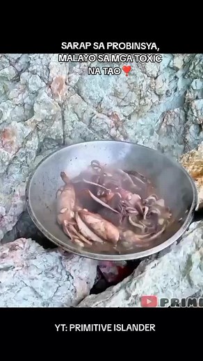 SINU DITO GUSTO MAGING HAMPAS LUPA? PERO GANITO LAGI ULAM😋 #palawan #pusit #primitiveislander #catchandcook #engagement #fishinglife