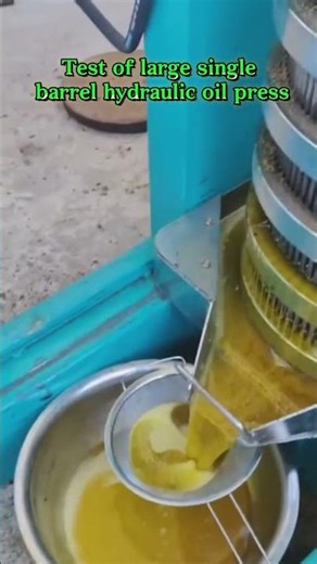 Single bucket hydraulic oil press customer production and use site#rapeseed #sesame #walnut
