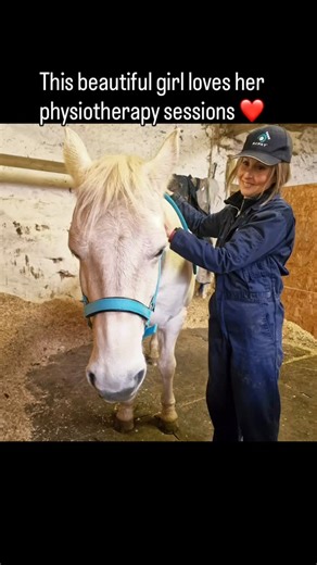 #theanimalphysiotherapist #animalphysiotherapy #veterinaryphysiotherapy #physiotherapyforprevention #physiotherapyforpeakperformance #acpat #equinephysiotherapy #equinephysiotherapist #physiotherapyformyhorsescotland #horsephysiotherapytreatment #horsephysiotherapist | The Animal Physiotherapist