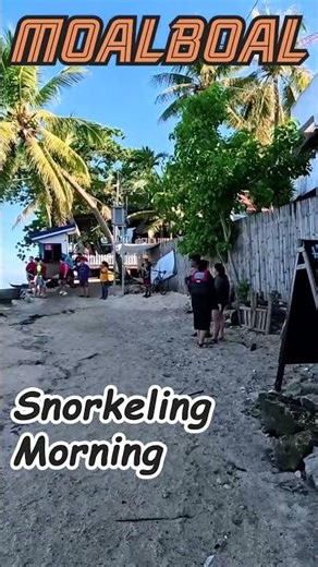 Gentle Waves and Colorful Reefs – Snorkeling Morning at Moalboal Beach