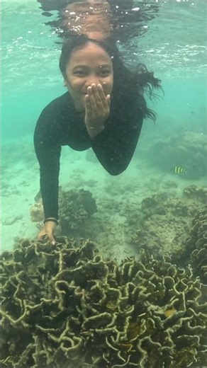 Snorkling Girll😍 #sea #snorkeling #video #fish #dive #underwater #shortvideo #ytshorts #shortsfeed