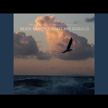 Beach Ambient and Seagulls