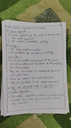 Retinal layer's and label the diagram 🎀