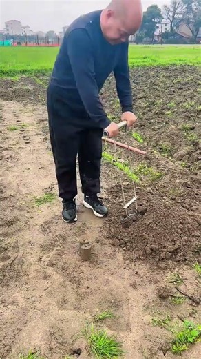 Manual Soil Block Maker The Efficient Way to Start Your Seeds