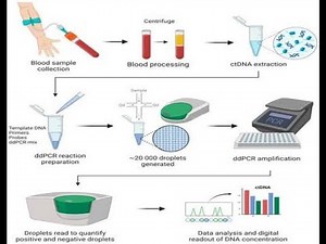 Genetic Methods In Molecular Diagnostics; identifying, analyzing, and interpreting variations in DNA