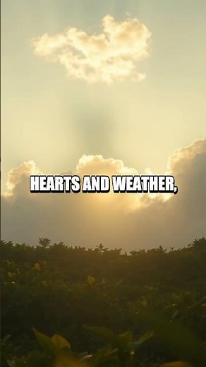 The Glowing Map of Sundew