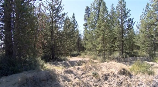 La Pine to open state-funded outdoor education park for youth and families