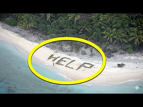 Helicopter Sees SOS on Beach—Who They Find Shocks Everyone