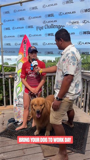 Jimmy on the glass 🐶 Heat 7 winner @erinbrookssurf is headed to the Quarters 🔥 Tune in to the @lexususa #PipeChallenger LIVE on worldsurfleague.com | @billabong | World Surf League