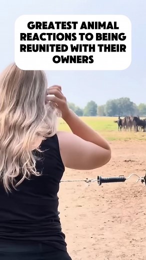 1K views | Best Animal Reactions to Reuniting With Owners-XJOqgK4GVgQ pouco.mp4 file:///C:/Users/Rg file:///C:/Users/Rg bile/Olha que #puppy truque usando #dog de .mp4 file:///C:/Users/Rg iam forma post deveria para madeiras velhas esse #doglover muito ideia bile/Todo genial gastando #dogsoftiktok Gear/Desktop/video o #viral lixo | Archie & Becca | Facebook