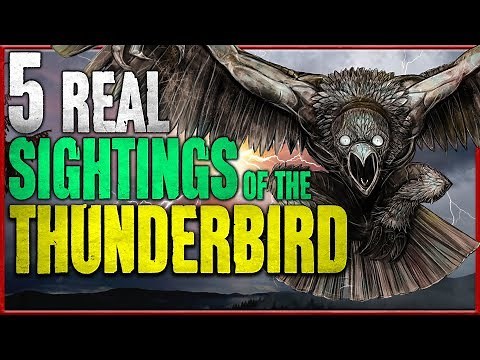 5 Real Thunderbird Sightings | Giant Monster Bird Sightings - Darkness Prevails