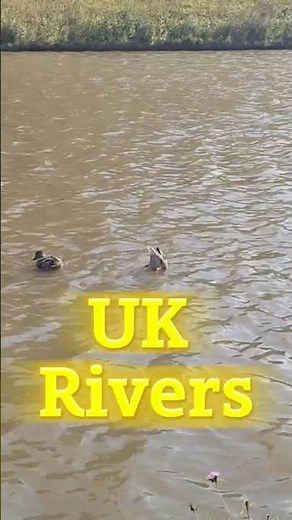 UK Rivers Travel Short