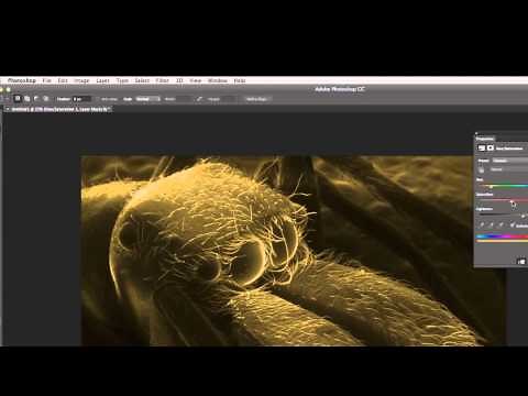 Scanning Electron Microscope SEM colorization from two detector images