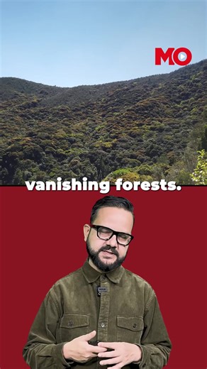 The Tragic Fall of a Giant: Why India’s Elephants Are Disappearing Part 4 | India Today