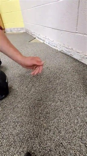 laying carpet tiles #follow #work #flooring #👍 #♥️ #interesting #tiktok #satisfying #foryourpage