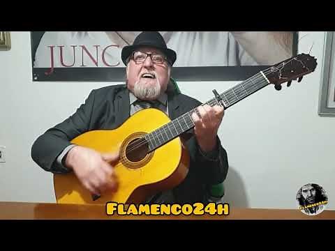 JUNCO - “EL REGALO”