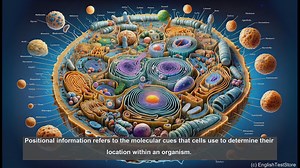 Positional information in biology