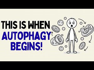 How Long Could You Fast Before Triggering Autophagy? (Science Explained)