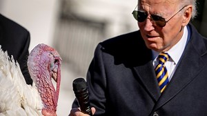 Strutting Male Turkey Steals the Show During During Cringe Biden Pardoning Ceremony