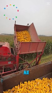 1.2M views · 10K reactions | Random Facts tungkol sa mga babae part 2 #reelsvideoシ #reelsfbシ #reelsviralfb #reelsfypシ #reelschallenge #random #fannyvideos #fb #randomfact #viralvideo | Random Facts | Facebook