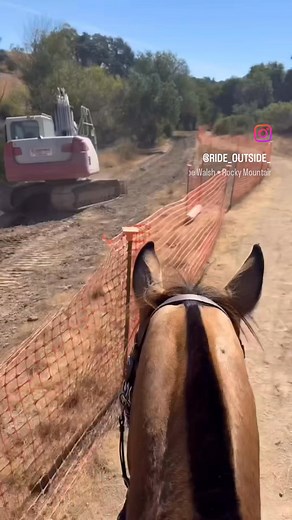 The more we roam together with our horses, the stronger our partnership gets. 🎥 @ride_outside_ #trailriding #trailridingadventures #bestofamericabyhorseback | Best of America by Horseback