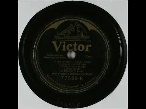 In the Beautiful Valley (Polka) - John Kramer's Schuhplattler Band