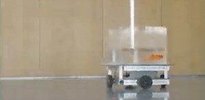 New study shows that goldfish can drive cars